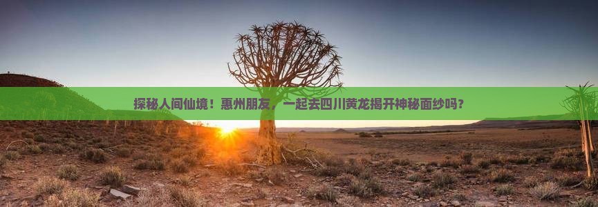 探秘人间仙境！惠州朋友，一起去四川黄龙揭开神秘面纱吗？