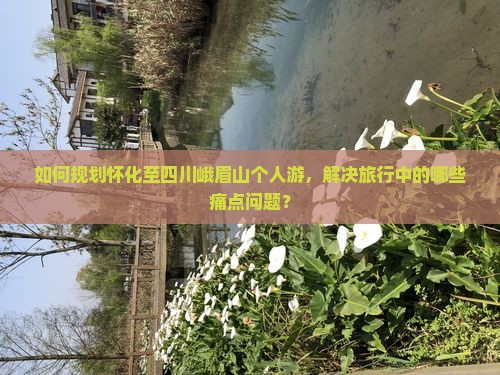 如何规划怀化至四川峨眉山个人游，解决旅行中的哪些痛点问题？