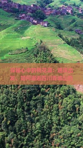 探秘心中的桃花源：迪庆出发，如何邂逅四川青城山的静谧秘境？