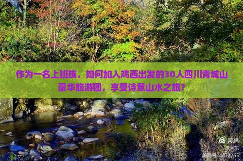 作为一名上班族，如何加入鸡西出发的30人四川青城山豪华旅游团，享受诗意山水之旅？