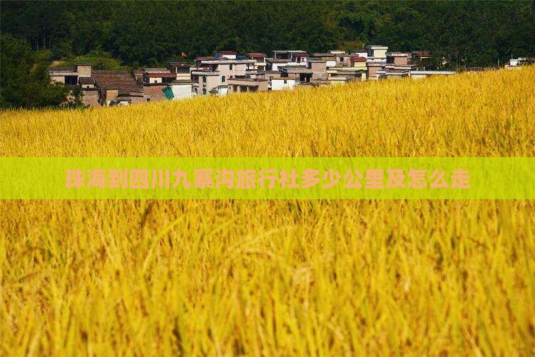 珠海到四川九寨沟旅行社多少公里及怎么走