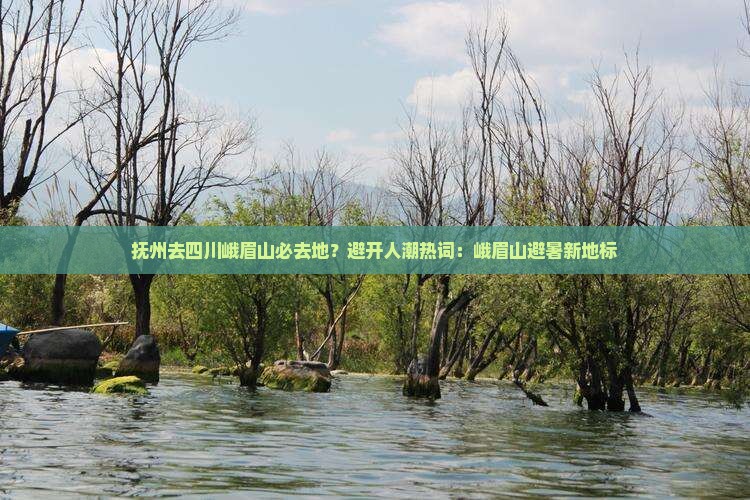 抚州去四川峨眉山必去地？避开人潮热词：峨眉山避暑新地标
