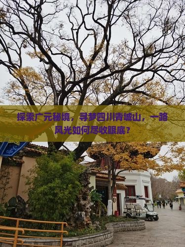 探索广元秘境，寻梦四川青城山，一路风光如何尽收眼底？