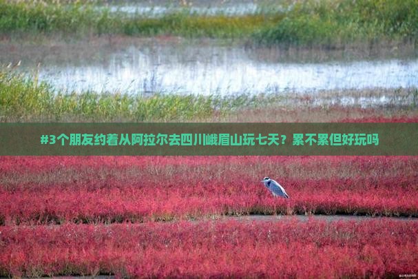 #3个朋友约着从阿拉尔去四川峨眉山玩七天？累不累但好玩吗