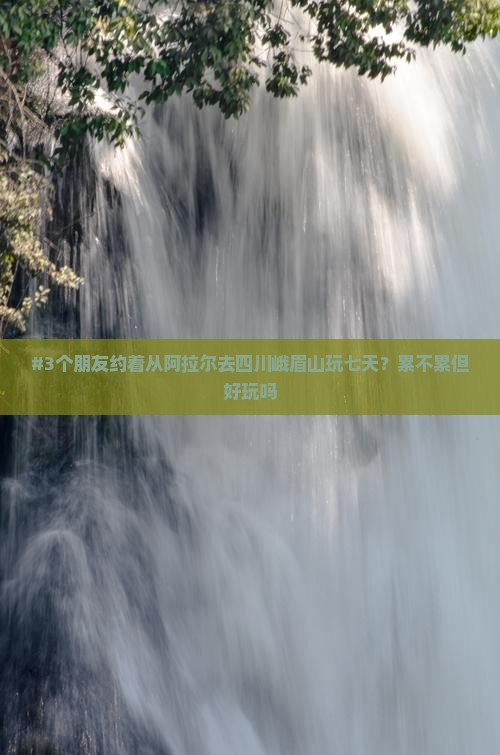 #3个朋友约着从阿拉尔去四川峨眉山玩七天？累不累但好玩吗