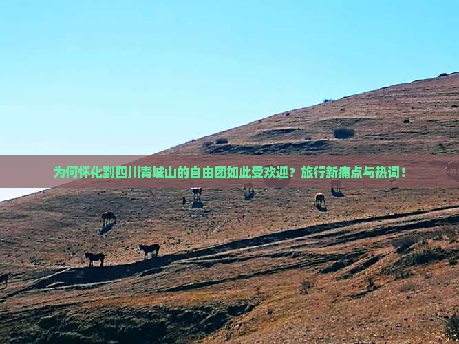 为何怀化到四川青城山的自由团如此受欢迎？旅行新痛点与热词！