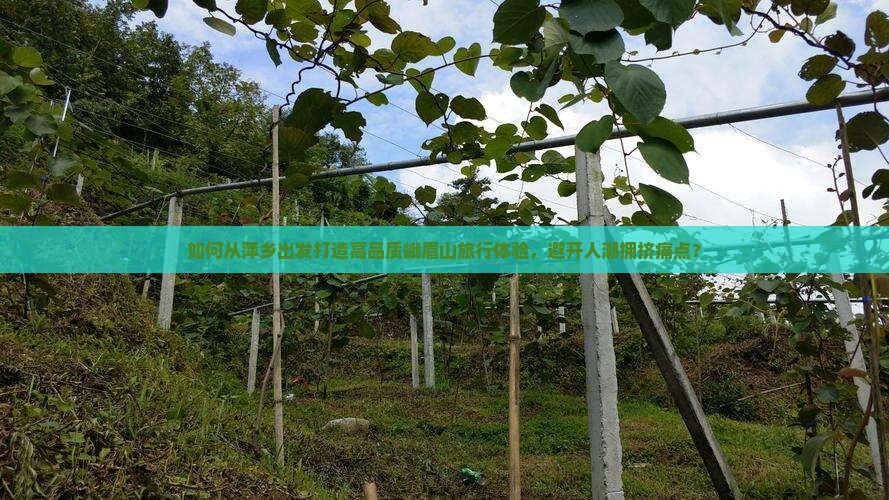如何从萍乡出发打造高品质峨眉山旅行体验，避开人潮拥挤痛点？