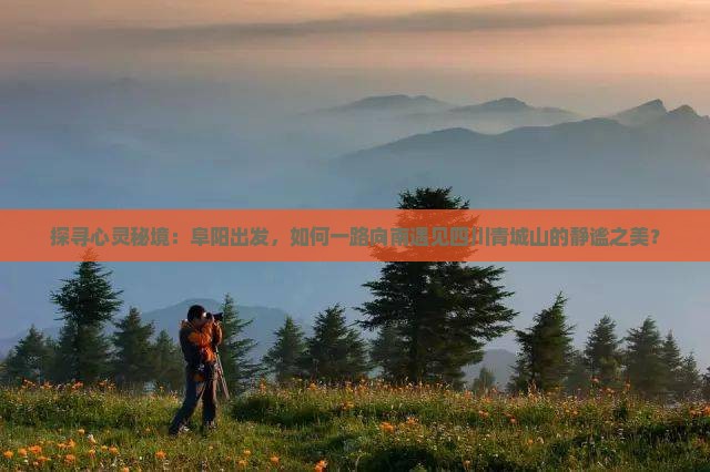 探寻心灵秘境：阜阳出发，如何一路向南遇见四川青城山的静谧之美？