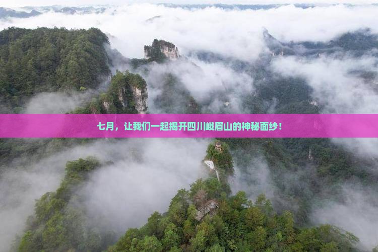 七月，让我们一起揭开四川峨眉山的神秘面纱！