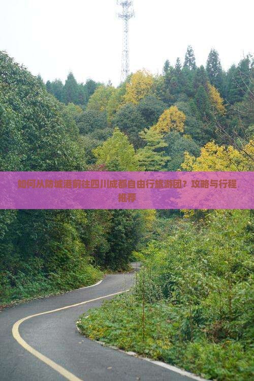 如何从防城港前往四川成都自由行旅游团？攻略与行程推荐