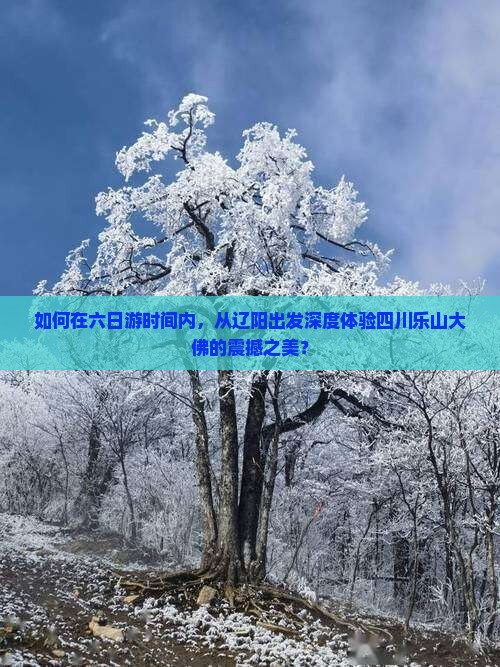 如何在六日游时间内，从辽阳出发深度体验四川乐山大佛的震撼之美？