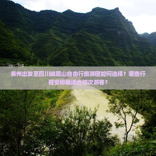 泰州出发至四川峨眉山自由行旅游团如何选择？哪些行程安排最适合初次游客？
