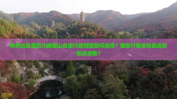 泰州出发至四川峨眉山自由行旅游团如何选择？哪些行程安排最适合初次游客？