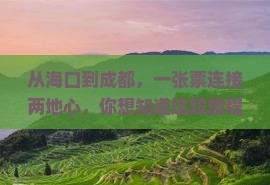 从海口到成都，一张票连接两地心，你想知道这段旅程的秘密吗？