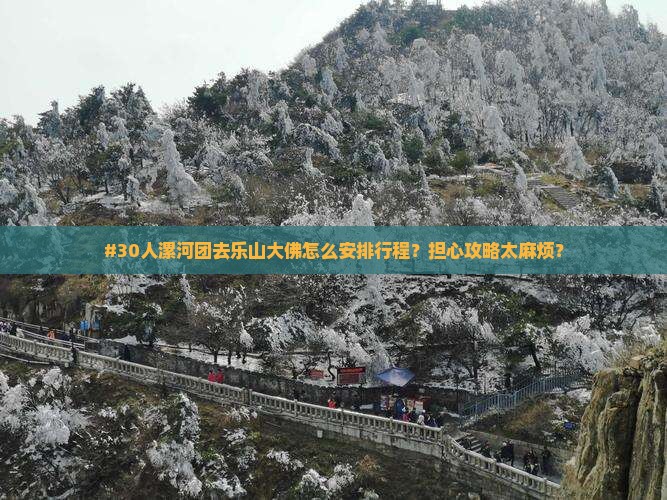 #30人漯河团去乐山大佛怎么安排行程？担心攻略太麻烦？