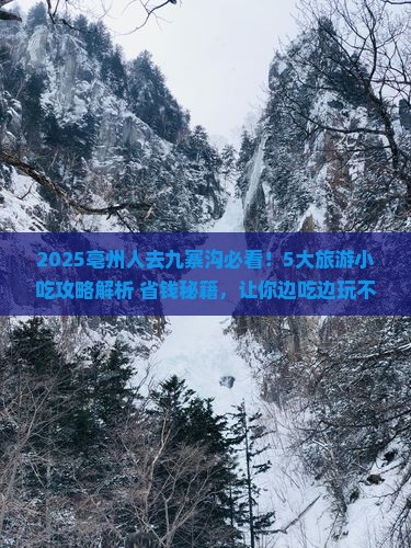 亳州到四川九寨沟旅游小吃