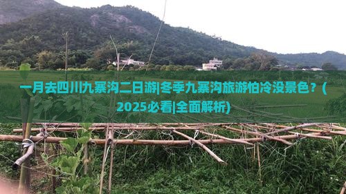 一月去四川九寨沟二日游 一月去四川九寨沟二日游