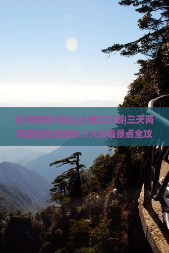 株洲到四川乐山大佛三日游