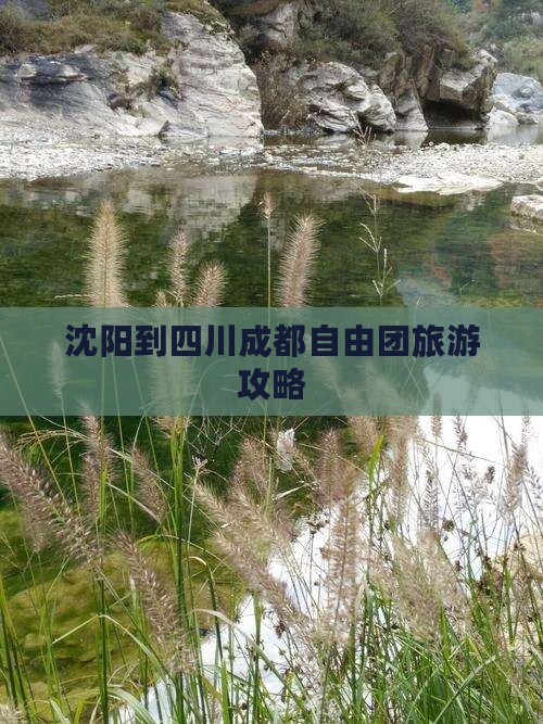 沈阳到四川成都自由团