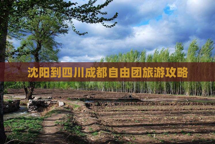 沈阳到四川成都自由团