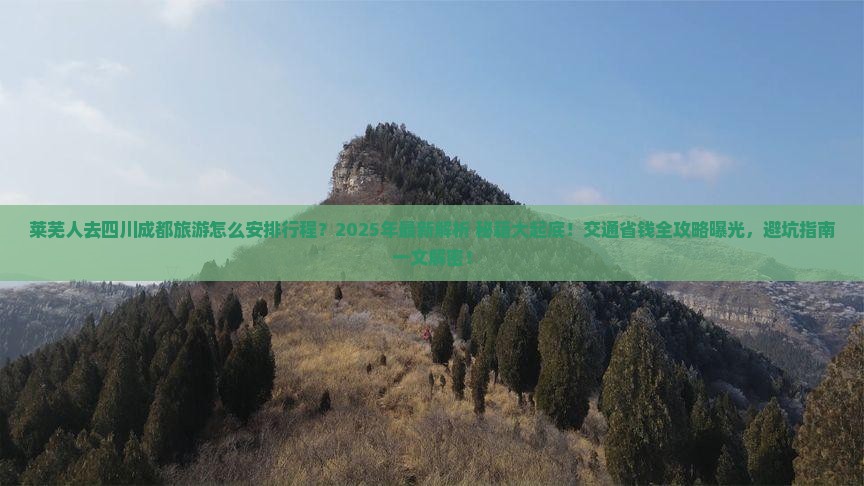 莱芜去四川成都旅游