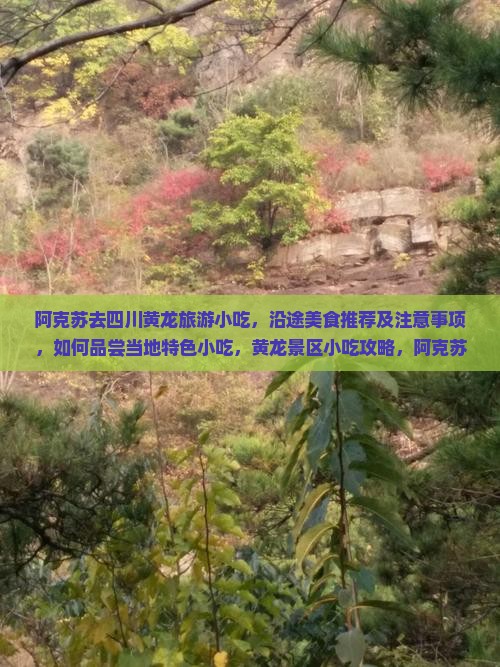阿克苏去四川黄龙旅游小吃