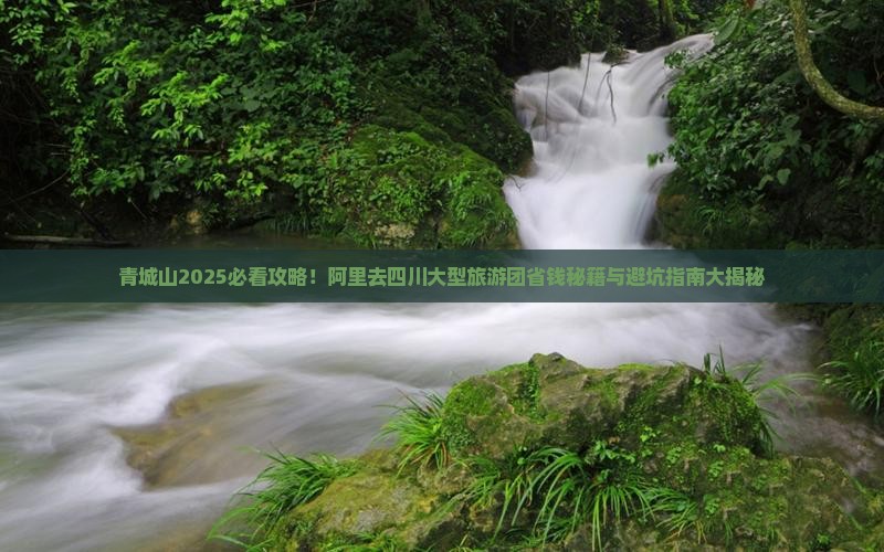 阿里去四川青城山大型旅游团