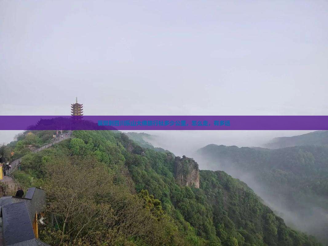 襄樊到四川乐山大佛旅行社