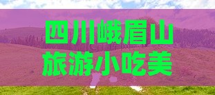 酒泉到四川峨眉山旅游小吃