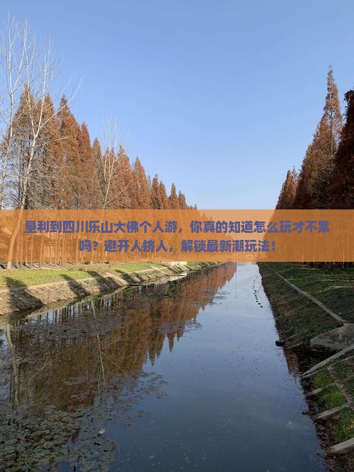 垦利到四川乐山大佛个人游