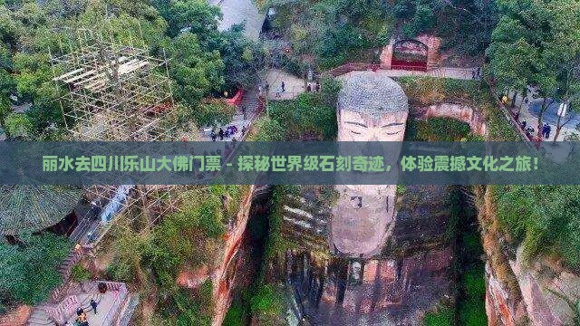 丽水去四川乐山大佛门票