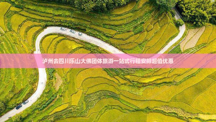 泸州去四川乐山大佛团体旅游