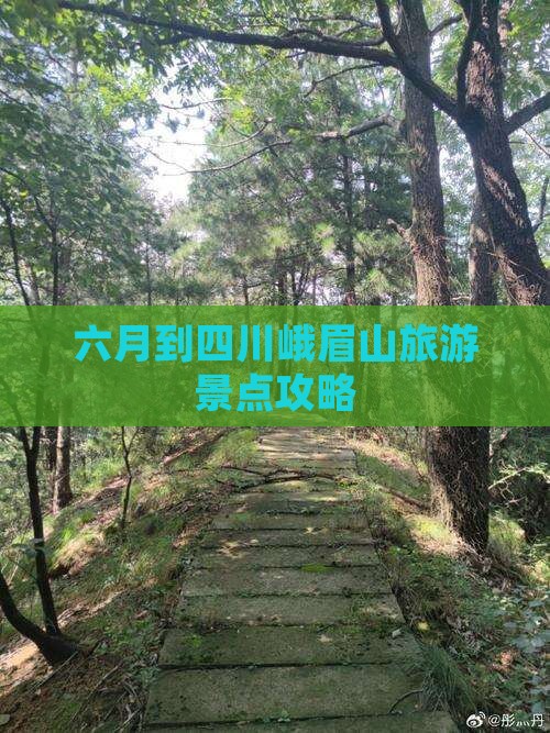 六月到四川峨眉山哪里玩