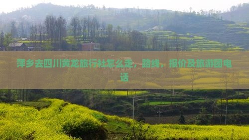 萍乡去四川黄龙旅行社