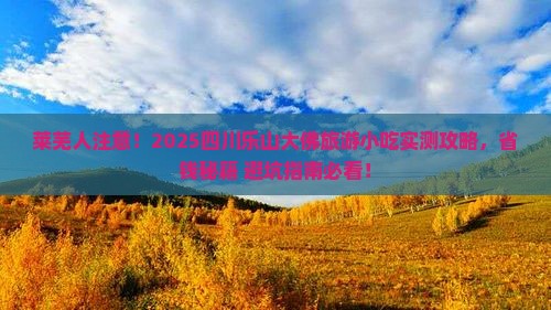 莱芜去四川乐山大佛旅游小吃