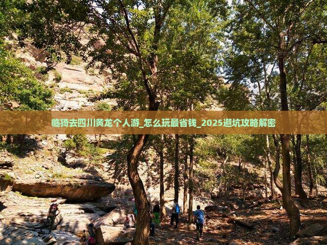 临猗去四川黄龙个人游