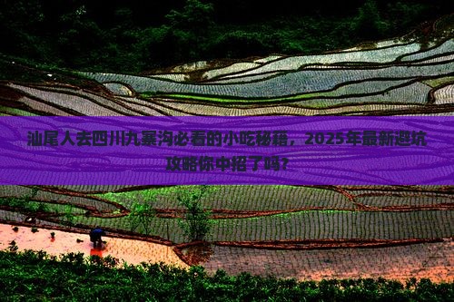 汕尾去四川九寨沟旅游小吃