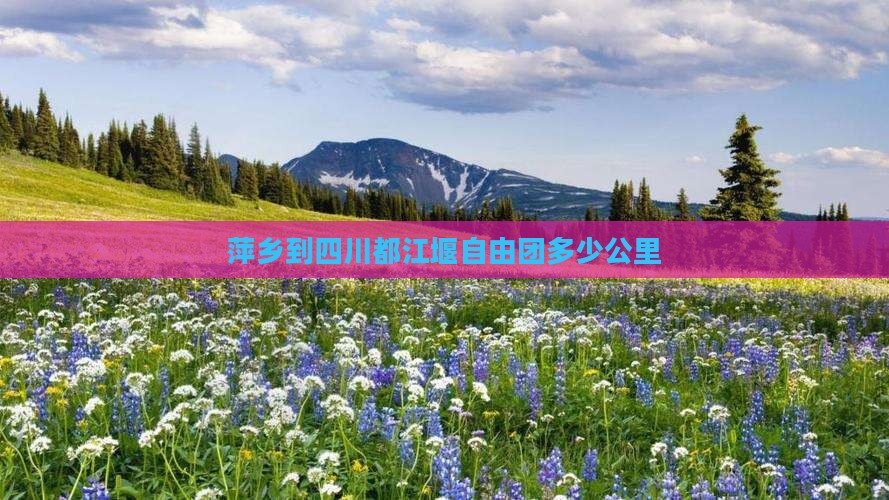 萍乡到四川都江堰自由团