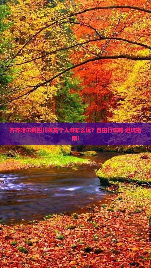 齐齐哈尔到四川黄龙个人游
