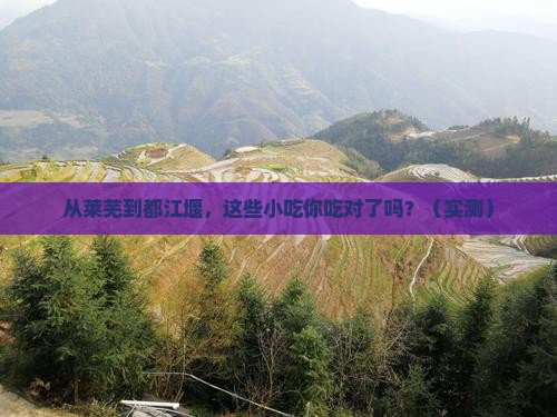 莱芜去四川都江堰旅游小吃