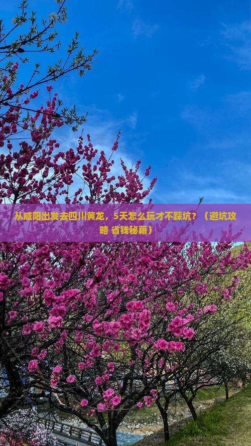 咸阳去四川黄龙旅游