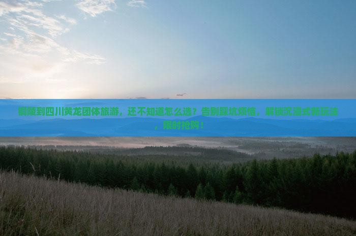铜陵到四川黄龙团体旅游