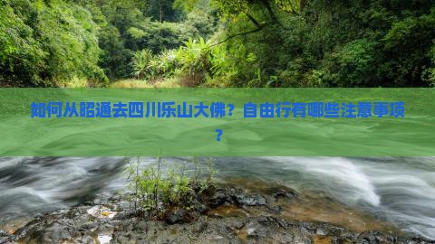 如何从昭通去四川乐山大佛？自由行有哪些注意事项？