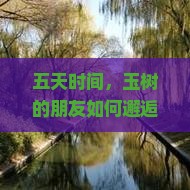 五天时间，玉树的朋友如何邂逅四川乐山大佛的千年静谧？