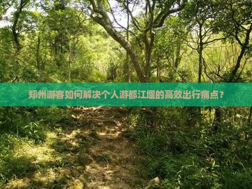 郑州游客如何解决个人游都江堰的高效出行痛点？