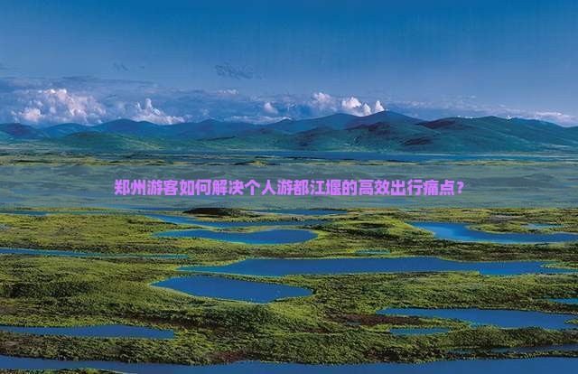 郑州游客如何解决个人游都江堰的高效出行痛点？