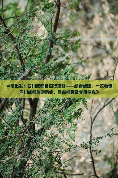 〓波出发：四川成都自由行攻略——必看整理，一次看懂四川成都旅游路线、景点推荐及实用信息》