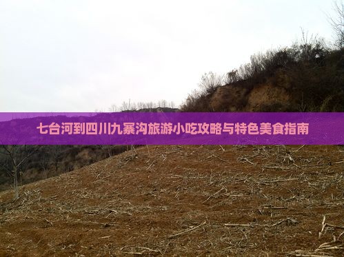 七台河到四川九寨沟旅游小吃攻略与特色美食指南