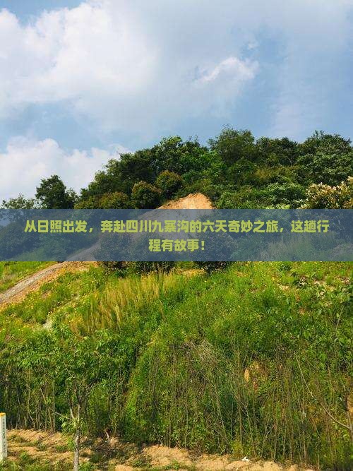 从日照出发，奔赴四川九寨沟的六天奇妙之旅，这趟行程有故事！
