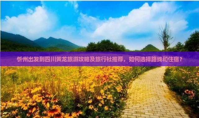忻州出发到四川黄龙旅游攻略及旅行社推荐，如何选择路线和住宿？